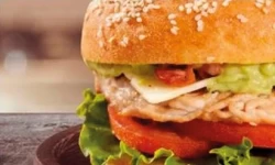CHURRASCOS POLLO